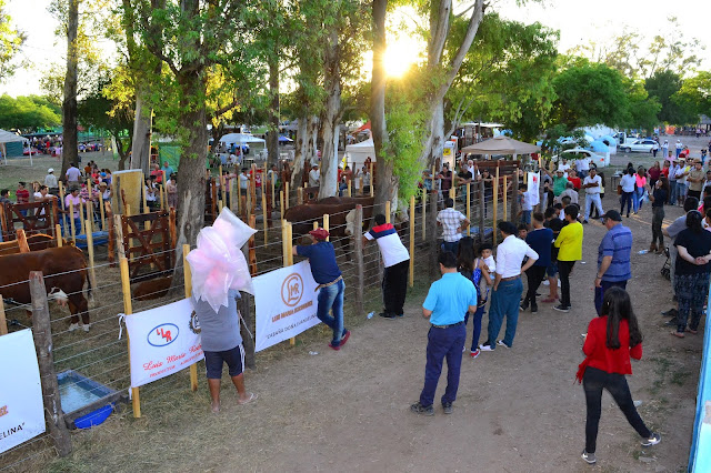 Todo el potencial productivo del sur santiagueño en la Expo Rural Sumampa 2022 Todo el potencial productivo del sur santiagueño en la Expo Rural Sumampa 2022