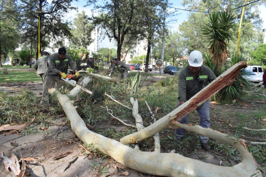Más de una semana llevará solucionar los problemas generados por el temporal