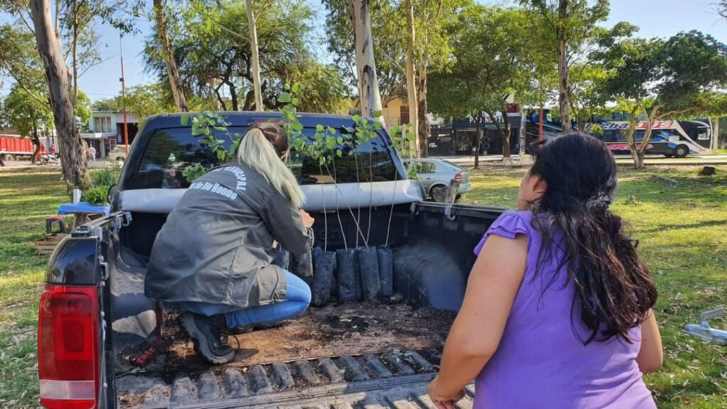 Entregan más de 200 plantines en Las Termas