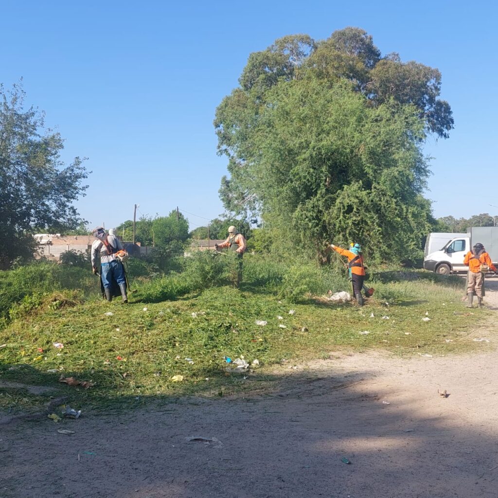 Intensifican los trabajos de desmalezamiento y limpieza