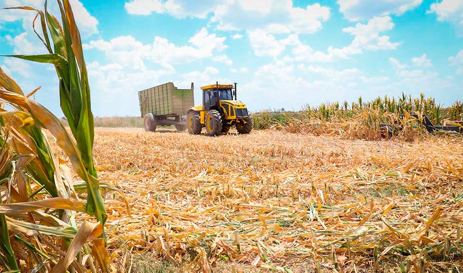 Asisten a pequeños productores en el marco de la emergencia agropecuaria