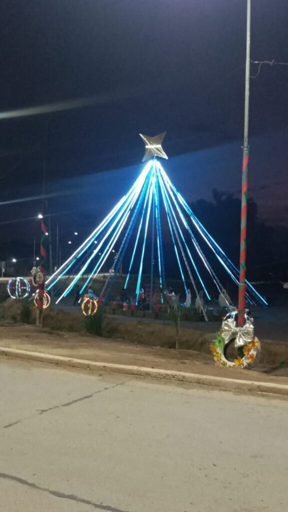 Construyeron un árbol navideño ecológico en Colonia El Simbolar