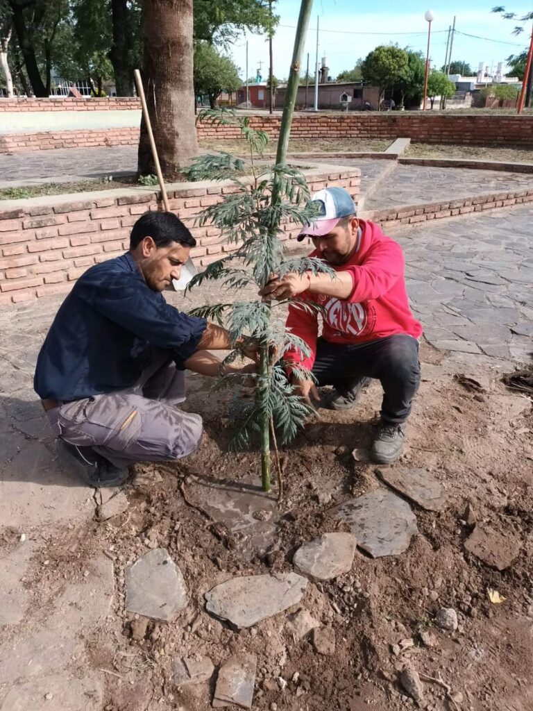 Impulsan plan de forestación en Frías Impulsan plan de forestación en Frías