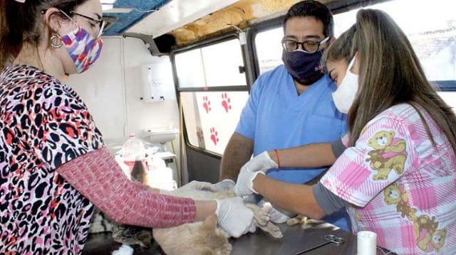 Entregan turnos para castraciones a bajo costo en La Banda