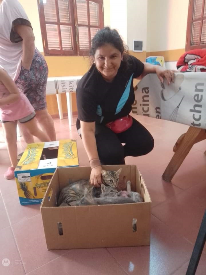 En 2022 se realizaron más de 4800 castraciones en la Capital En 2022 se realizaron más de 4800 castraciones en la Capital