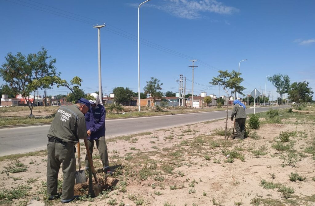 Realizan tareas para garantizar el crecimiento de árboles en el barrio Siglo XX