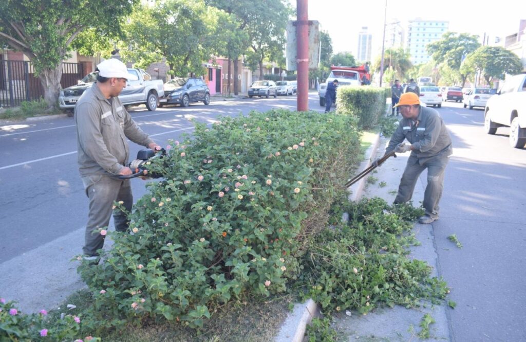 Realizan tareas de mantenimiento en la platabanda de avenida Belgrano