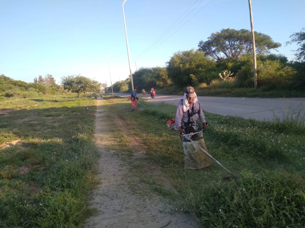 <strong>Realizan trabajos de desmalezamiento en la ruta de San Ramón</strong>