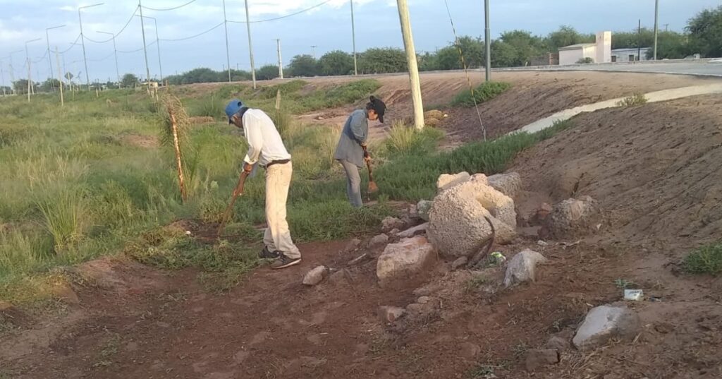Intensifican tareas de limpieza y desmalezamiento en Colonia El Simbolar