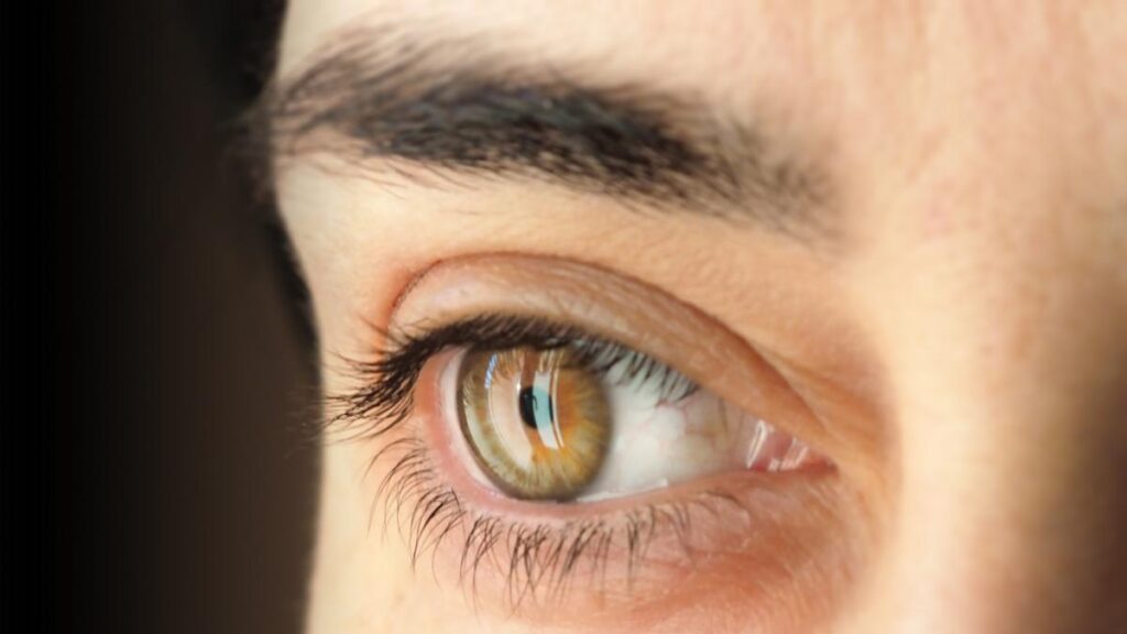 Organizan una importante campaña para detección del glaucoma