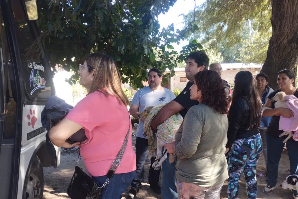 Las castraciones gratuitas para perros y gatos llegaron a dos barrios bandeños