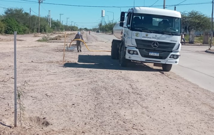 Colonia El Simbolar refuerza el plan de reforestación con la plantación de 700 árboles