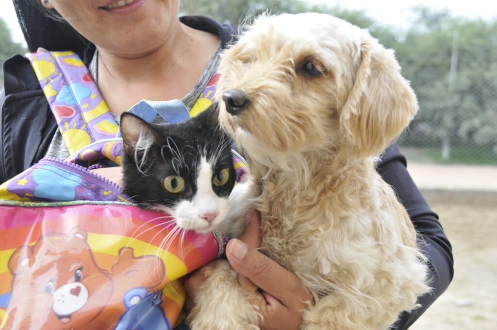 En Fernández abrieron las inscripciones para una campaña de castración de mascotas
