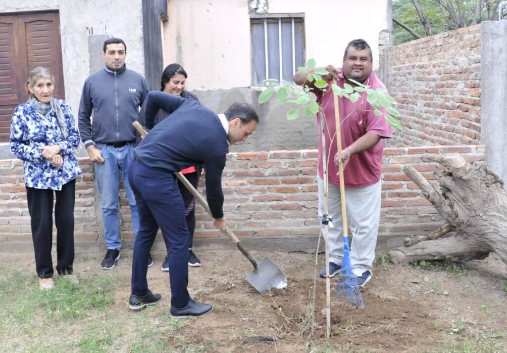 Lanzan un programa para colocar árboles en hogares de Fernández