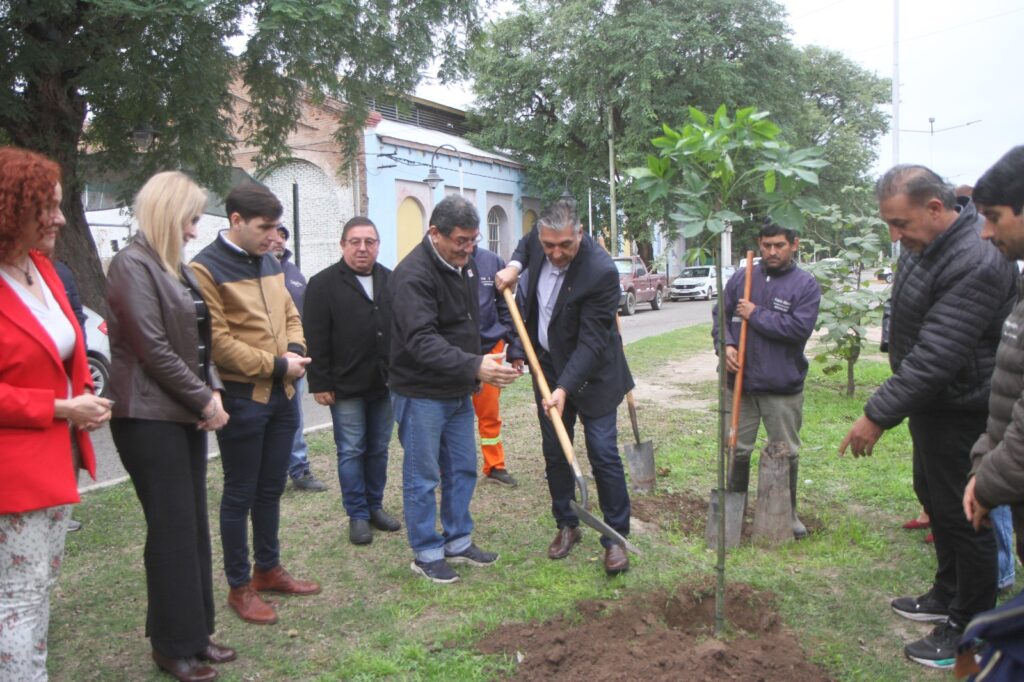 Plantarán 15 mil árboles en distintos sectores de La Banda