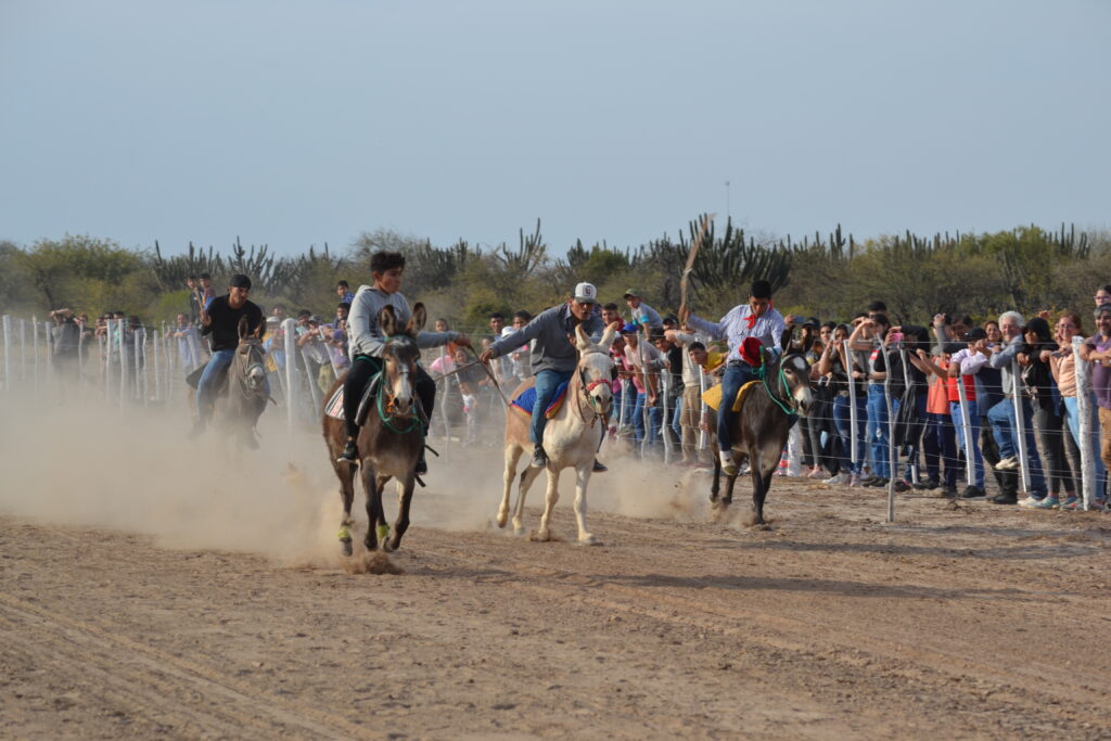 Realizan con éxito la Exposición Caprina y el Rally de Burros en Vaca Human