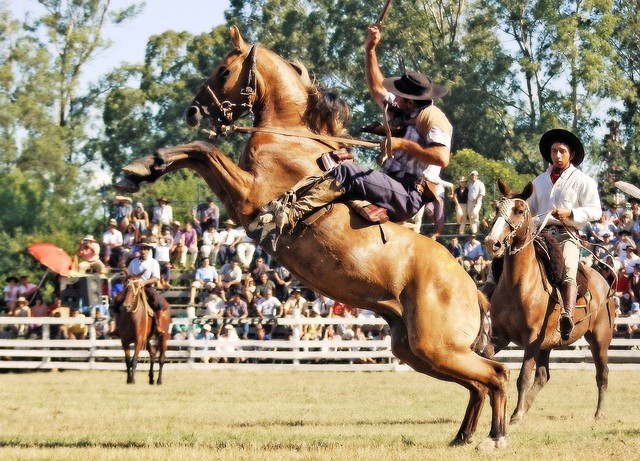Colonia Dora: Más de 15 mil personas participaron de los festejos por el Día de la Independencia