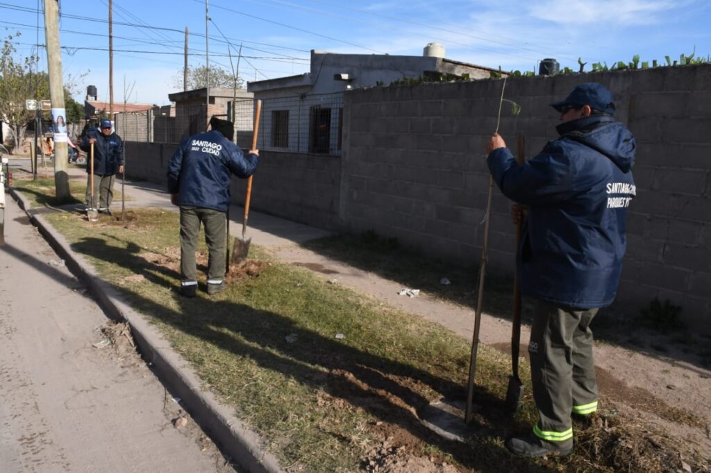 Plantarán  más de 4.500 árboles en el barrio General Paz