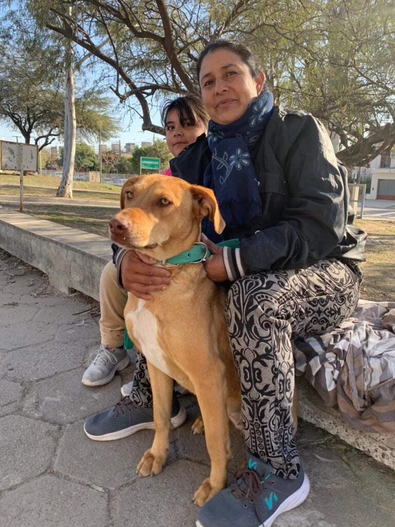 En Las Termas comenzó la campaña de castración de animales