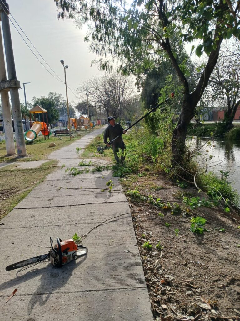 Realizan trabajos de limpieza y mantenimiento en distintos puntos de la ciudad