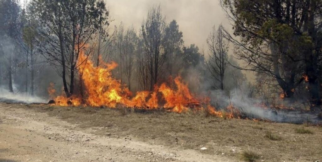 Defensa Civil de la Capital recomendó no realizar fogatas ante el riesgo de incendios
