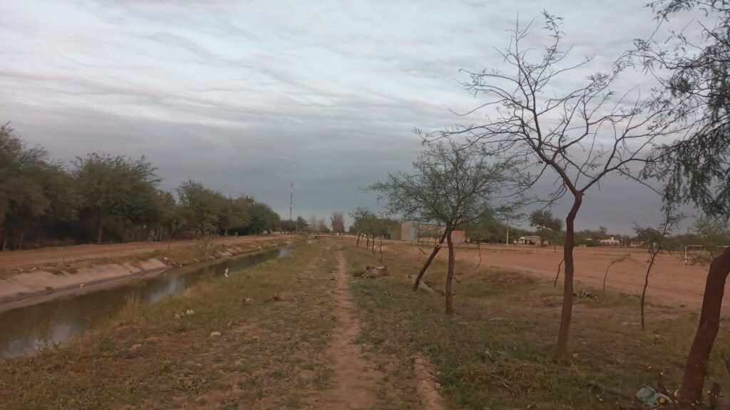 Ejecutan limpieza y mantenimiento en diversos sectores de Colonia El Simbolar