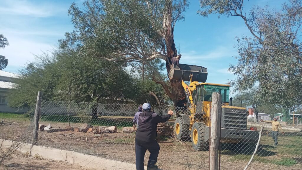 Realizan trabajos mantenimiento en un jardín de Colonia El Simbolar