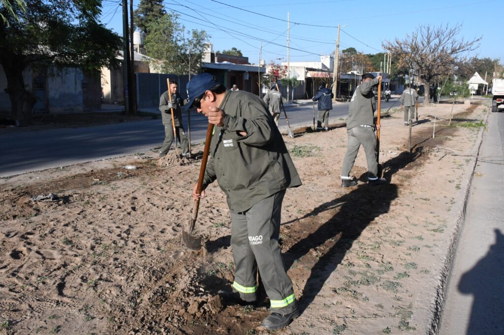 Plantaran más de 4.800 árboles en el barrio Vinalar