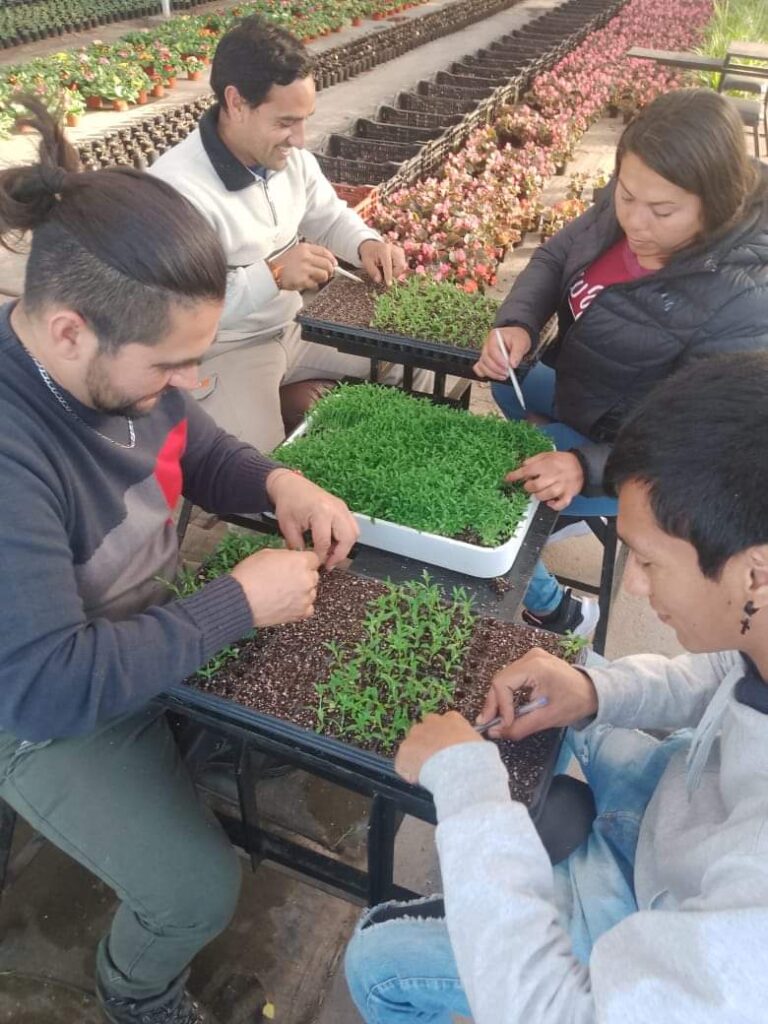 Empleados del Vivero Municipal de Frías se capacitaron en técnicas de cultivo Empleados del Vivero Municipal de Frías se capacitaron en técnicas de cultivo