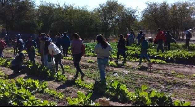 En Villa Salavina avanzan con un proyecto para producir verduras orgánicas