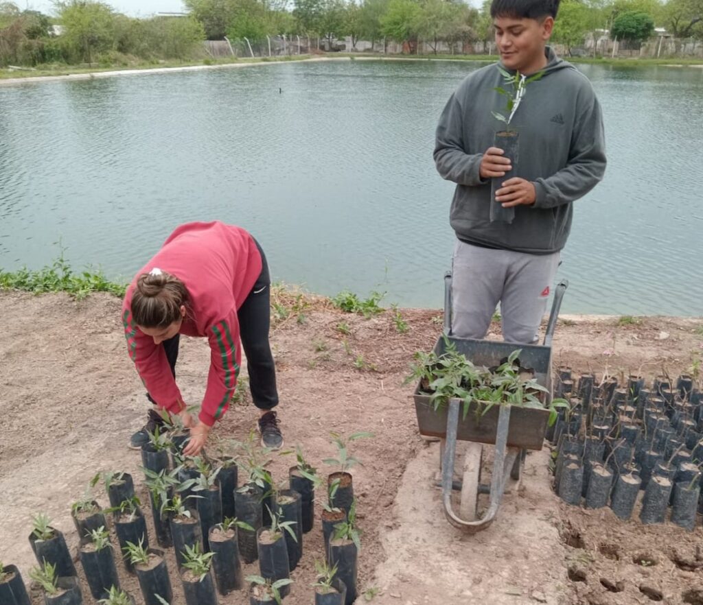 Plantaran más 3 mil especies árboreas en Loreto