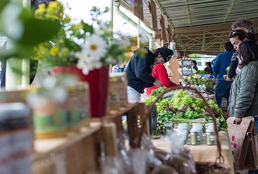 Con una Eco Feria conmemoraran el día de la Conciencia Ambiental en Fernández