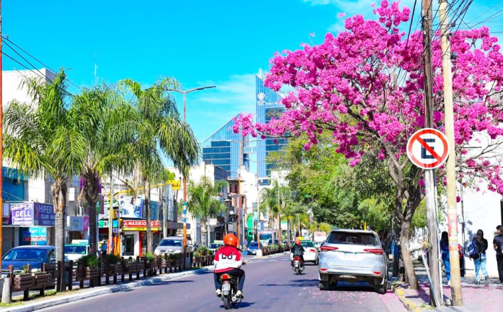 Los estudiantes secundarios son protagonistas en el Mes de la Juventud