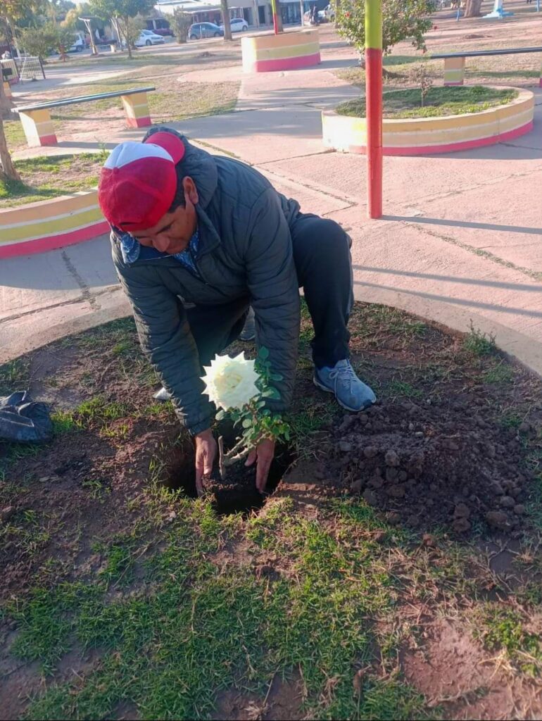 Nueva Esperanza: Colocan plantas y flores en la plaza San Martín