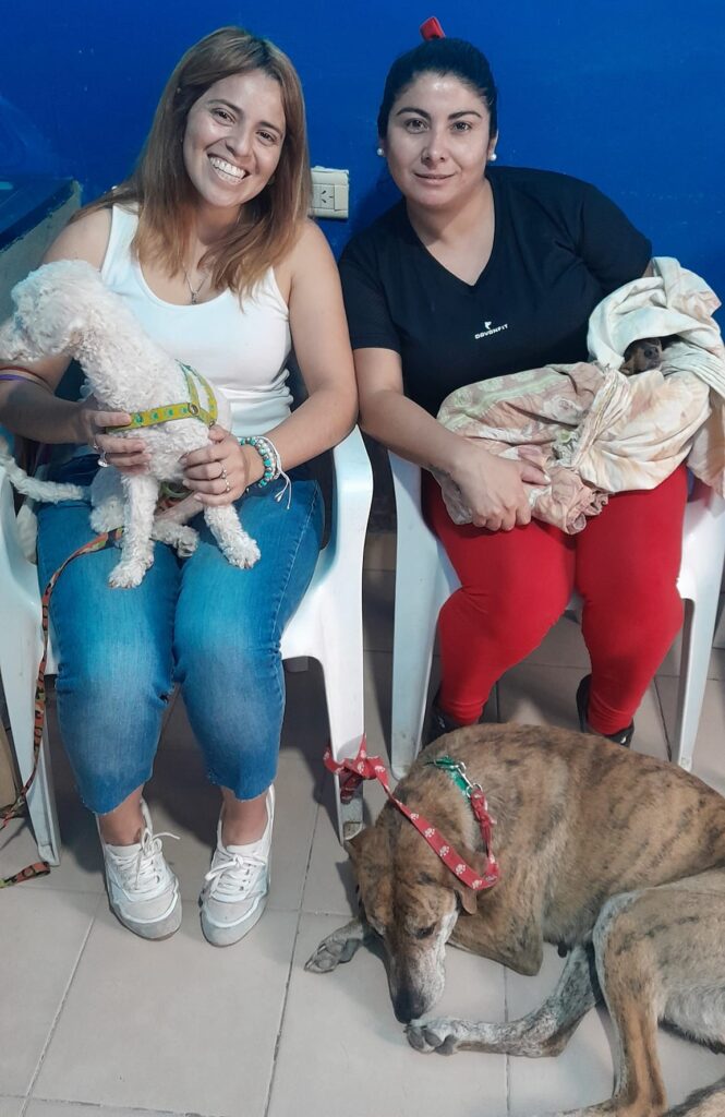 Clodomira: Realizaron con éxito castraciones gratuitas