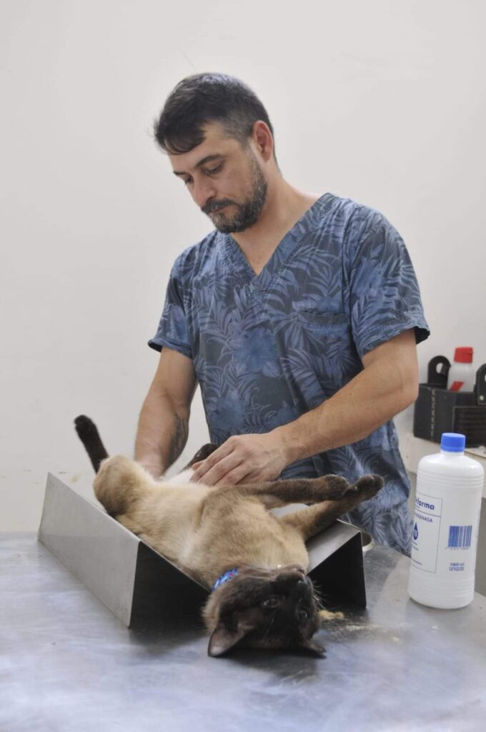 En Fernández llevan más de 400 castraciones de animales en la campaña 2023