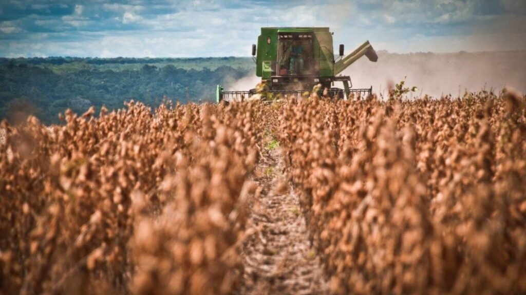Santiago del Estero ocupa las primeras posiciones en la producción de maíz y soja en Argentina