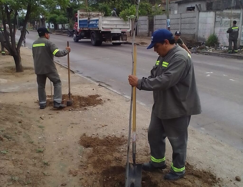 Plantaran más de 2500 árboles en el barrio Bruno Volta