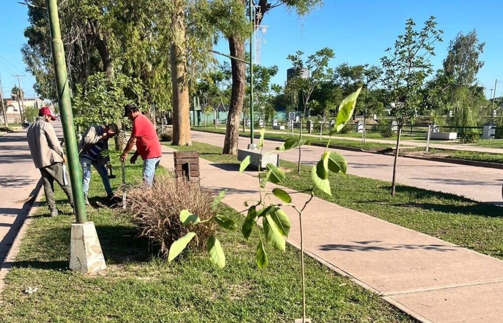 Bandera fortalece su campaña de arbolado para combatir el cambio climático