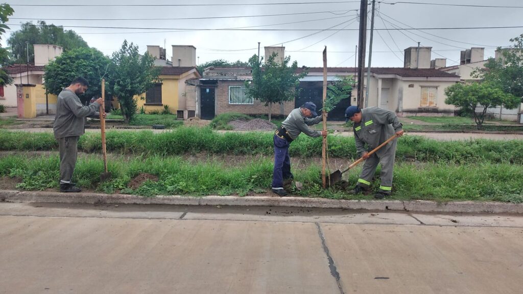 Plantaran más de 3000 árboles en los barrios Siglo XX y Siglo XXI