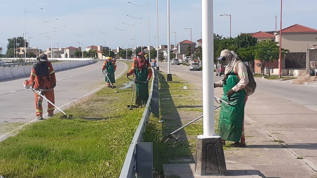 Realizan trabajos de desmalezamiento en la Capital