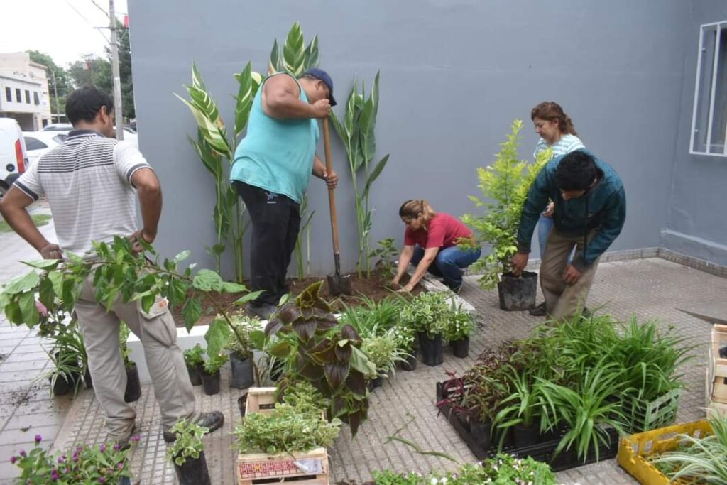 Frías: Avanzan con el plan de forestación en distintos espacios públicos Frías: Avanzan con el plan de forestación en distintos espacios públicos