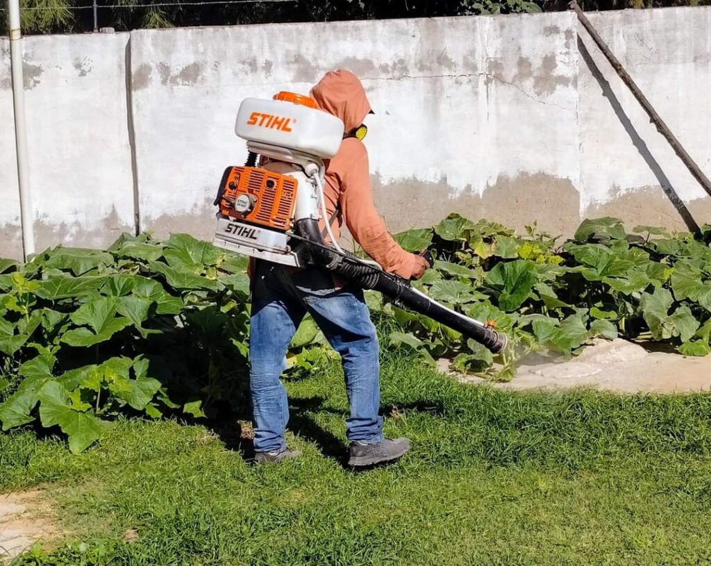 Realizan fumigaciones en Loreto en el marco de la lucha contra el dengue