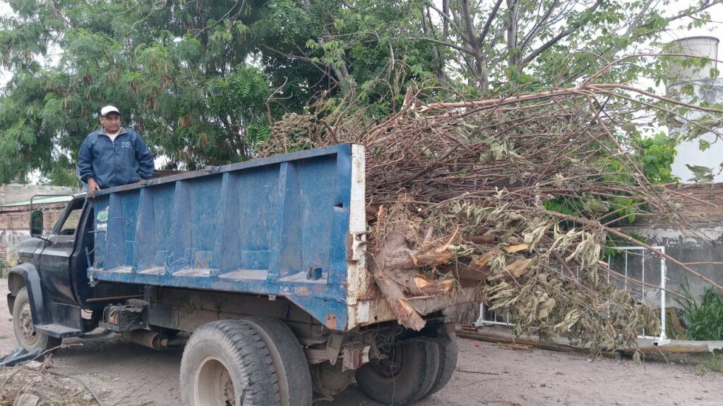 La Municipalidad solicita la colaboración sobre el manejo responsable de los restos de poda
