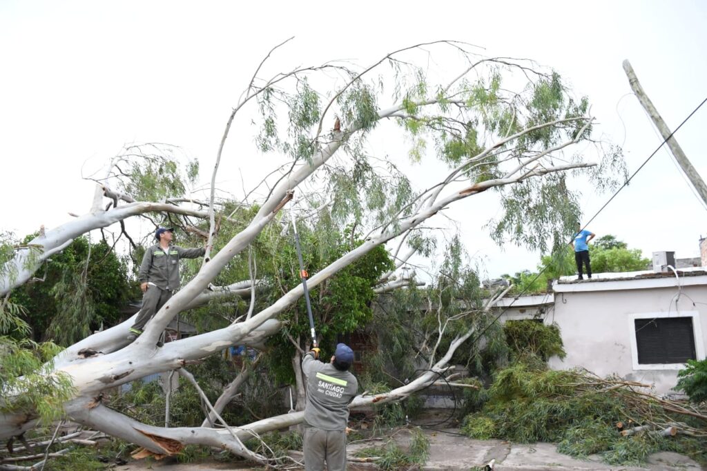 Trabajos de despeje de árboles y postes caídos por la fuerte tormenta en la Capital