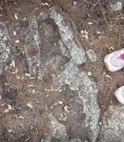 Organismos de la provincia se unen para proteger la “Huella del Indio”