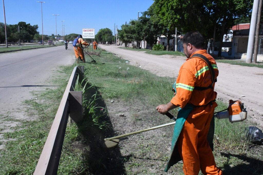 Continúan los recortes de malezas en avenida Lugones