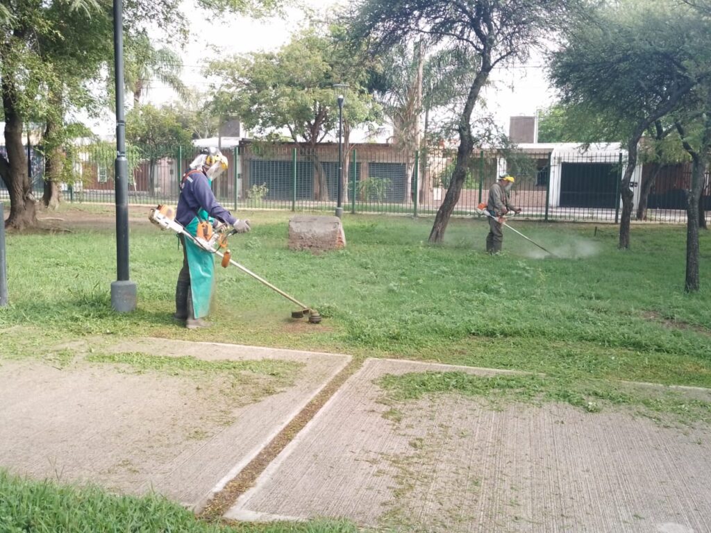 Continúan las tareas de recorte de malezas en distintos barrios
