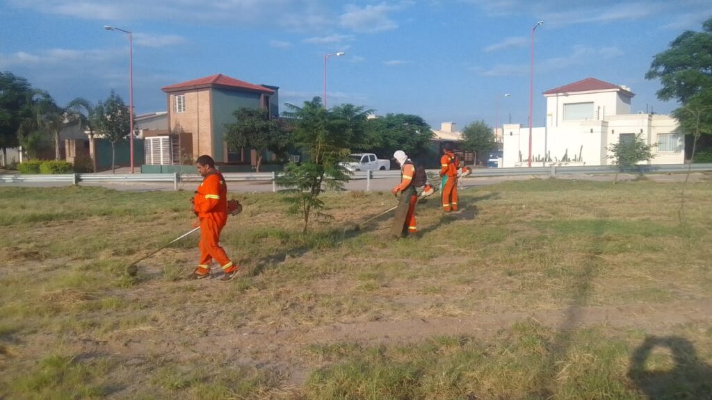 Intensifican los trabajos de desmalezamiento en distintos sectores de la ciudad Intensifican los trabajos de desmalezamiento en distintos sectores de la ciudad