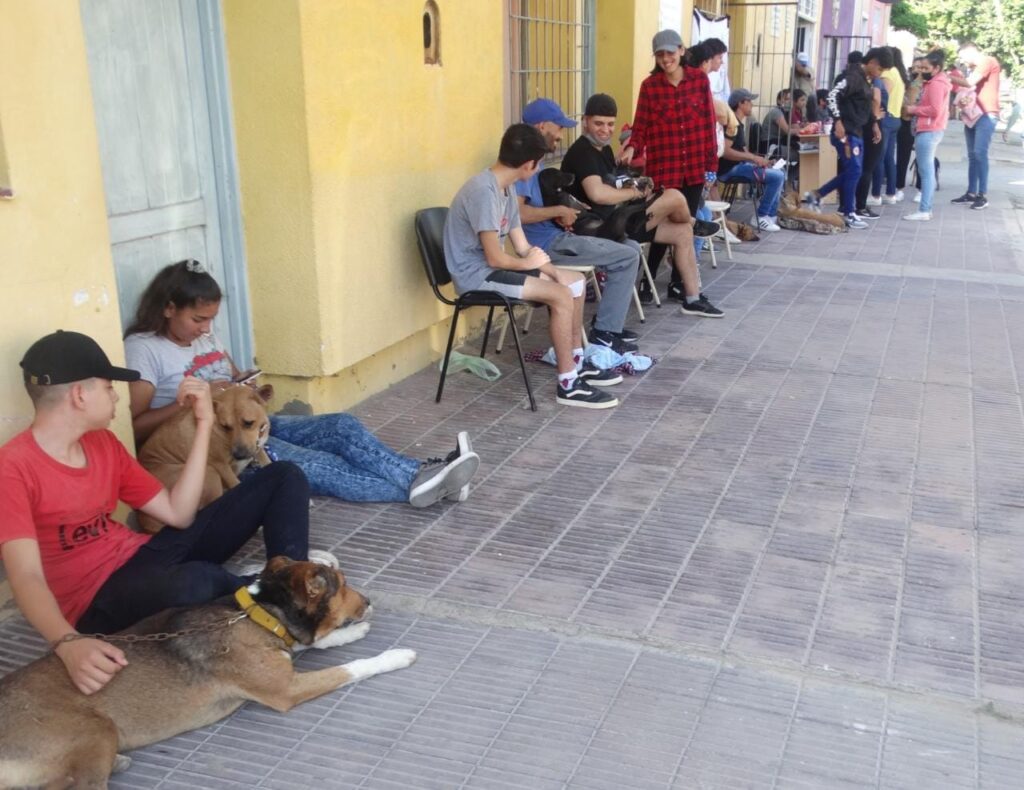 Realizarán un nuevo operativo de castración gratuita de mascotas en Clodomira